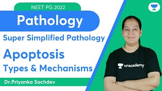 Super simplified Pathology  Apoptosis  Dr Priyanka Sachdev [upl. by Antons669]