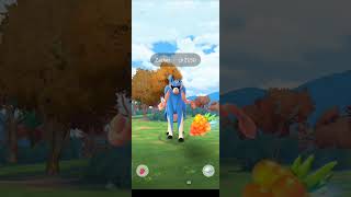 Catching a zacian in Pokemon go pokemon shorts [upl. by Katy]