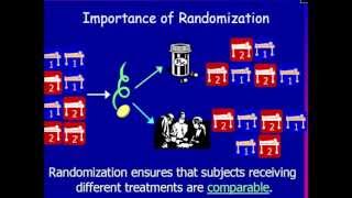 Why Randomization Is Important [upl. by Nahgam149]