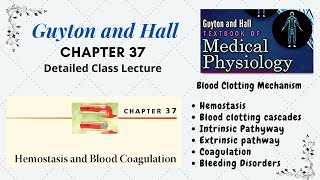 Guyton Chapter 37  Hemostasis Clotting factors  Coagulation  Intrinsic and Extrinsic pathways [upl. by Ylhsa]