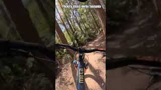 Flow on Flickety Sticks in Derby Tasmania mtb mountainbike jump gopro hero13 flow bluederby [upl. by Bartko]