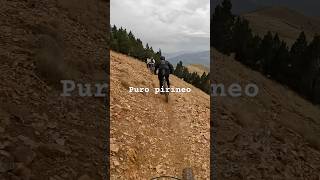 Puro pirineo mtb pirineus bttlife mountainbike bici bicicleta trilhos mtb btt espanha [upl. by Ablasor]