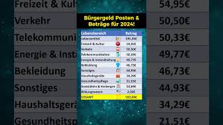 Bürgergeld Höhe der Posten in 2024 [upl. by Llerdnam]