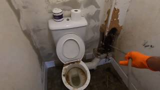 Blocked Toilet Drain 1 [upl. by Naor]