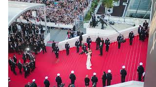 Cannes Film Festival 2024  77th Edition [upl. by Dibb347]