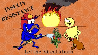 The low grade inflammation of insulin resistance [upl. by Eerol335]