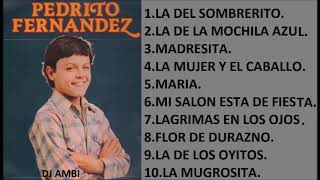 Pedro Fernández SUS MEJORES CANCIONES MIX DE EXITOS ROMANTICOS [upl. by Annaes954]