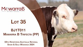 Lot 35 Mawarra B Trifecta PP [upl. by Lipsey110]