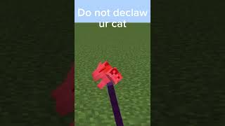 Never declaw your cat [upl. by Ggerc938]