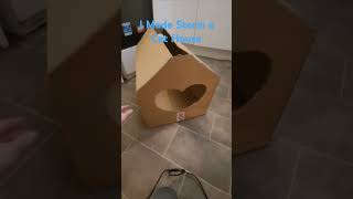 Cardboard Cat House craftingfun diy cat crafting subscribe [upl. by Tifanie]