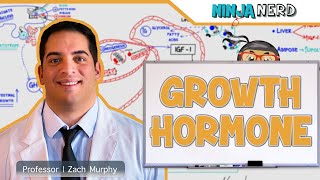 Endocrinology  Growth Hormone [upl. by Lebasy974]