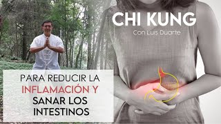 Como reducir la INFLAMACION y sanar tus INTESTINOS con ejercicios de CHI KUNG [upl. by Wonacott]