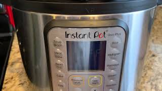 Instant Pot Yogurt [upl. by Ahsrav]