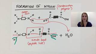 Simple Condensation polymerisation polymer explained using nylon GCSE [upl. by Callas463]