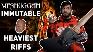 MESHUGGAH  Immutable But Its Only The Heaviest Riffs [upl. by Katinka656]