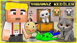 EFEKAN VE KEDİLERİ YARAMAZLIK YAPIYOR 😂  Minecraft [upl. by Cirdes]