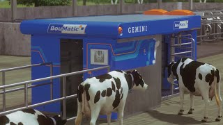 Gemini the BouMatic Milking robot English [upl. by Lefty]