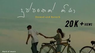 Duppathek kiya   දුප්පතෙක් කියා Slowed and Reverb Hardofmusic [upl. by Icken]