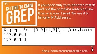 Getting to know grep and the o option [upl. by Berky]