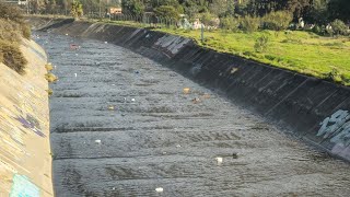 contaminación del agua [upl. by Gereron952]