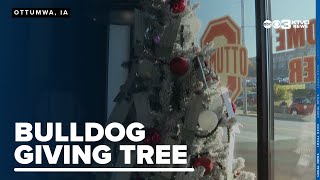 Ottumwa CSD hosts Bulldog Giving Tree to help families provide holiday gifts for students [upl. by Ahtnama]