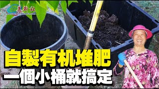 自製有机堆肥，一個小桶就搞定，就是这么简单！ [upl. by Sella34]