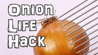 How to Get a Fever With Onions Overnight [upl. by Hildie]