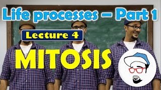 Mitosis vs Meiosis Side by Side Comparison [upl. by Kooima993]