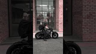 HarleyDavidson SPORTSTER custom IRON 883 [upl. by Martinsen]