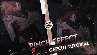 Capcut Pinch Effect Just Like After Effects AE [upl. by Hasseman294]