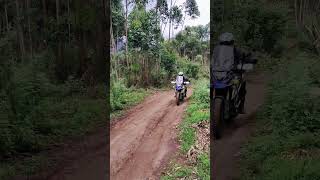 GS310 Offroad  Bowidae Woods  Vattavada [upl. by Polik113]