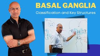 Basal Ganglia Classification and Key Structures  Neuroanatomy [upl. by Enimisaj]