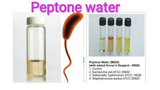 Peptone water preparation and uses [upl. by Maren]