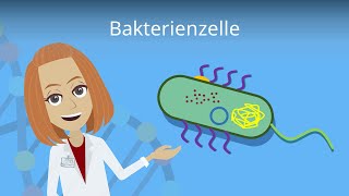 Bakterienzelle  Aufbau amp Funktion einfach erklärt  Studyflix [upl. by Nayk885]