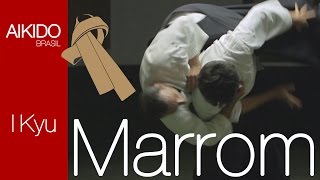 AIKIDO  I Kyu Faixa Marrom [upl. by Tsew660]