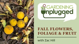 Gardening Unplugged  Attractive Flowers Foliage and Fruit in the Fall Garden with Zac Hill [upl. by Suravat]