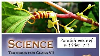 Nutrition In Plants  class 7  V 3 Digital Science with Himani [upl. by Rosetta]