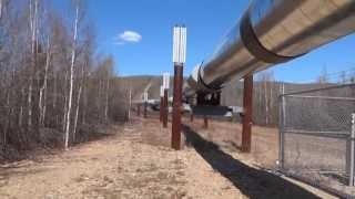 Trans Alaska Oil Pipeline Tour [upl. by Jezrdna]