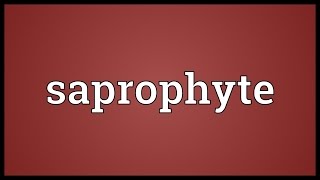 Saprophyte Meaning [upl. by Hsiri]