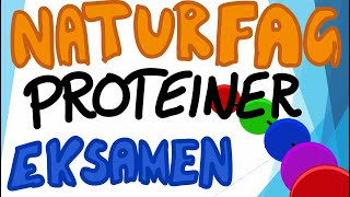 Naturfag muntlig eksamen  Næringsstoffene Proteiner [upl. by Ahtnamas]