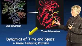 Susan Taylor UCSD Part 3 Protein Kinase Regulation and Localization [upl. by Airpac]