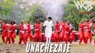 Diamond Platnumz  Unachezaje Official Video [upl. by Anaigroeg258]