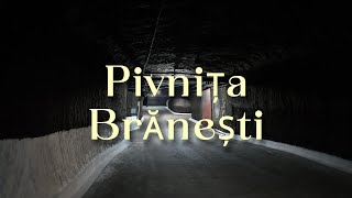 Siamo andati a conoscere Vinaria Pivnițele Brănești Epoca de Piatra e Conacul Belioz [upl. by Luap]