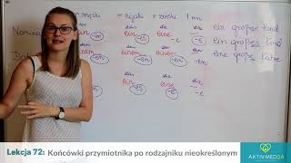 Niemiecki dla opiekunek lekcja 72 Końcówki przymiotnika po rodzajniku nieokreślonym [upl. by Valerie]