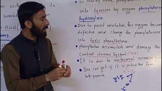 Phenylketonuria ll point mutation ll class 11 ll faderal ll class 12 [upl. by Asilaj618]