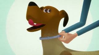 How to Apply the Seresto Collar for Dogs [upl. by Ridgley]