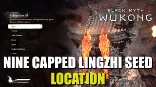 How to get Nine Capped Lingzhi Seed Black Myth Wukong [upl. by Juliano515]