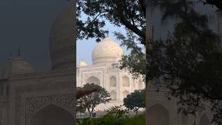 AGRA  TAJ MAHAL🌹youtubeshorts youtube youtuber [upl. by Airlee]