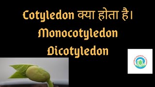 What is cotyledon  types of Cotyledon  science learning academy 👍 by Neha Maam [upl. by Evangelina]