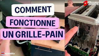 Voici comment fonctionne un grillepain  C’est tout simple non  tips tutorial spareka [upl. by Ettezil]